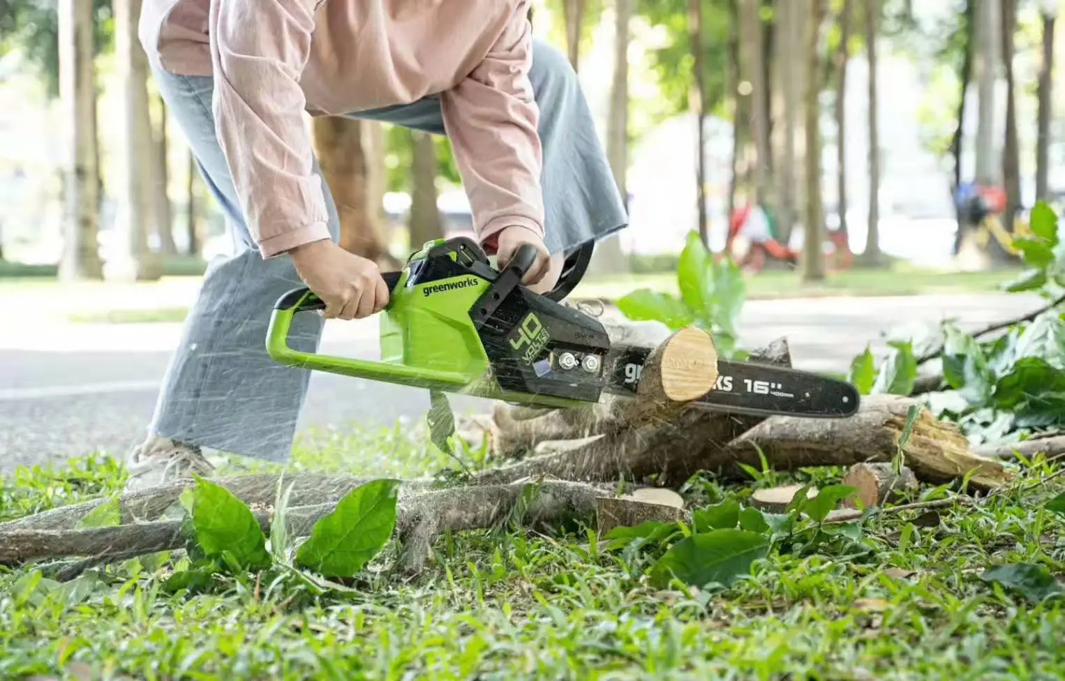 Chain Saw (1).jpg