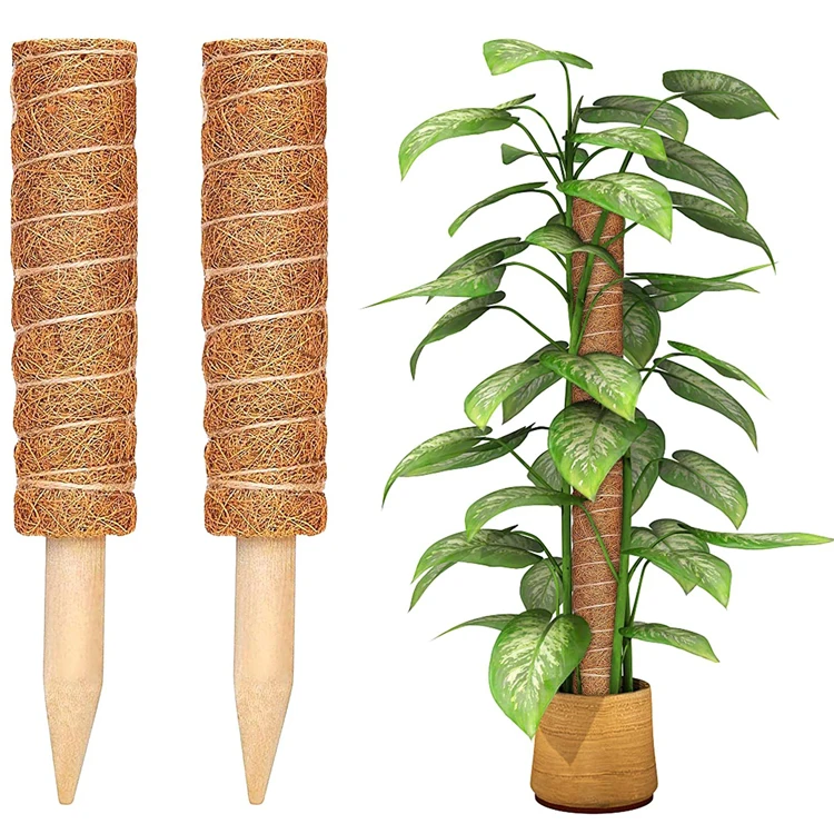 

Coir moss poles fiber garden climbing plants accessories indoor potted plant coco sticks multi hangesrs extension totem pole