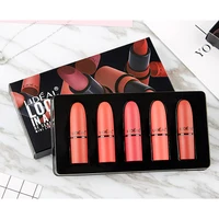 

High quality matte lipstick color popular wholesale 5 color mini lipstick set