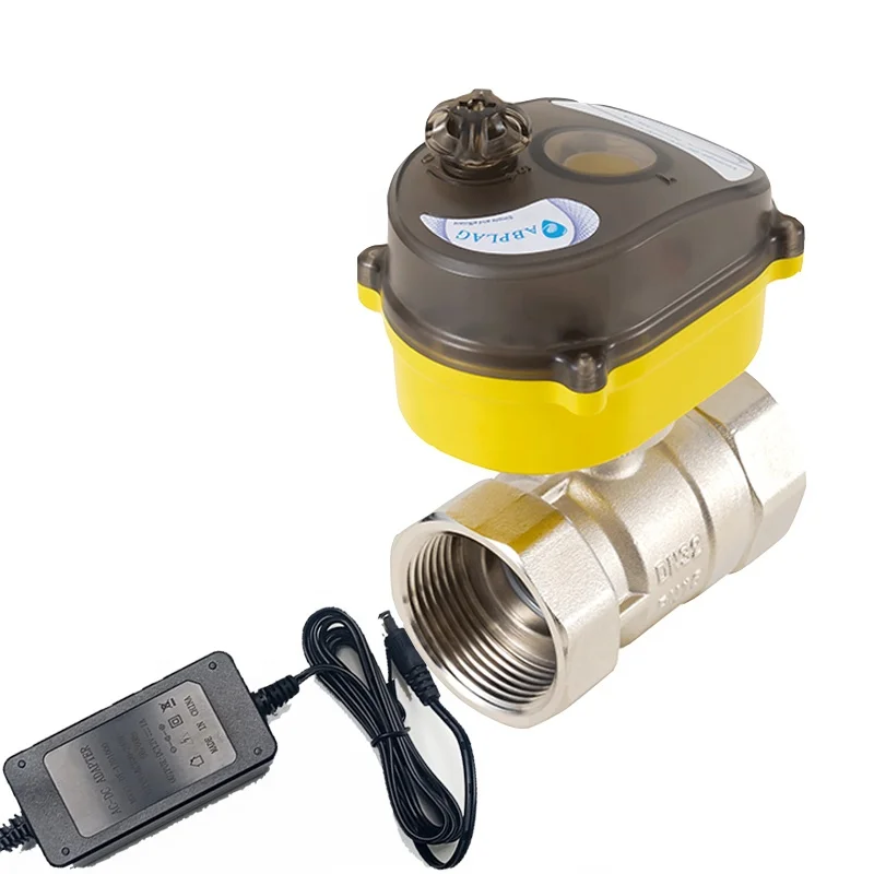 Stainless Steel Electric Ball Valve 2-way Water Valve with Power Adapter Automatic Return Setting Electric Valve