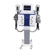 

New Arrivals 2020 Weight Loss Machine 5 in 1 Portable Cryolipolysis Slimming Machine for Sale