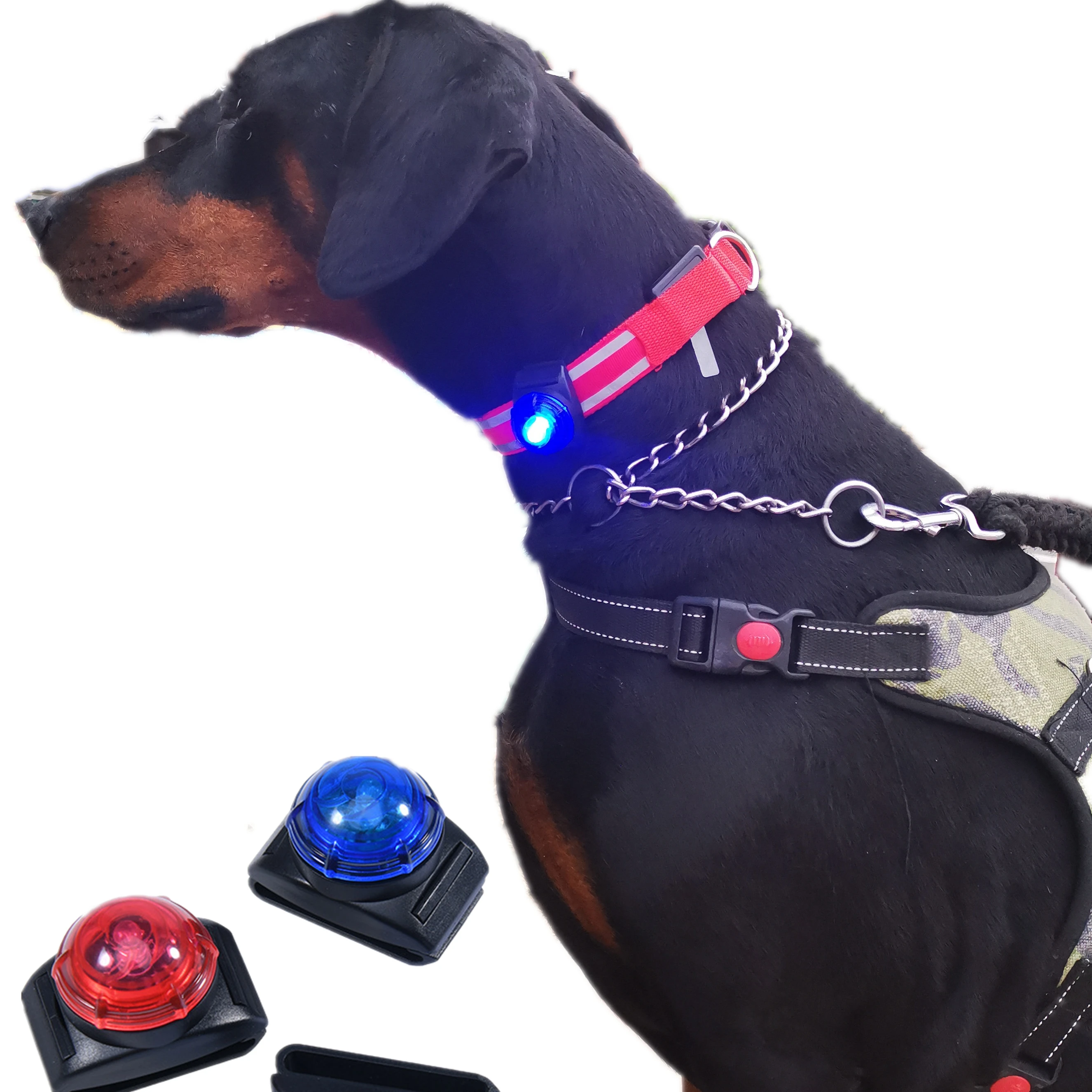 

Outdoor Night Walk Waterproof Durable Safety ABS Clip on Pet Safety Dog Led Glow Light, Multiple