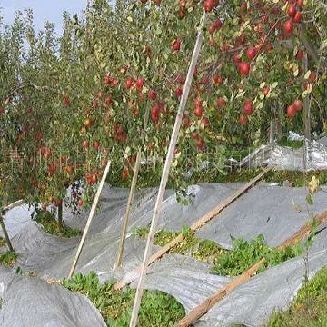 
silver metalized cpp/ solar reflective film for agriculture film rolls 