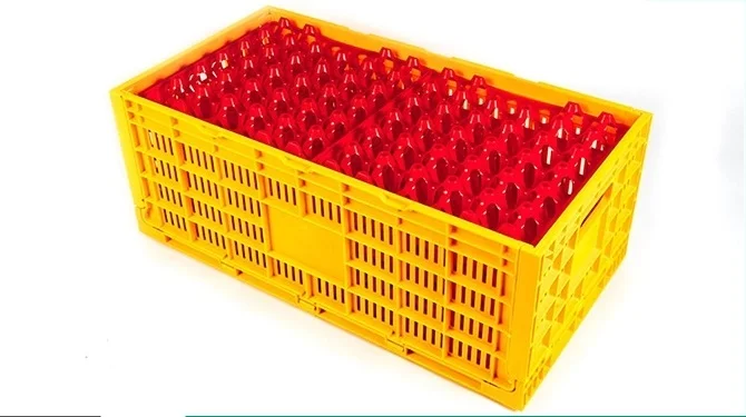 poultry transport crate,square plastic crate,transport crates