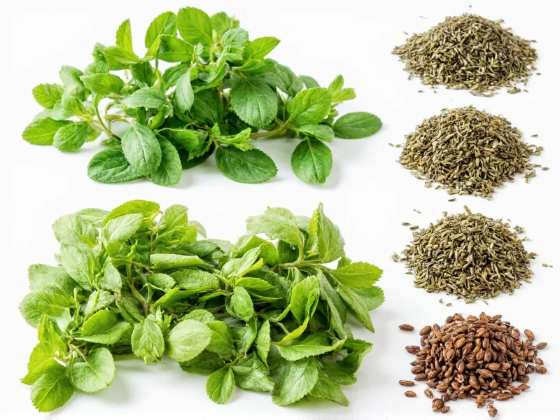 Fresh to Dried Herb Conversion Ratio: Complete Guide