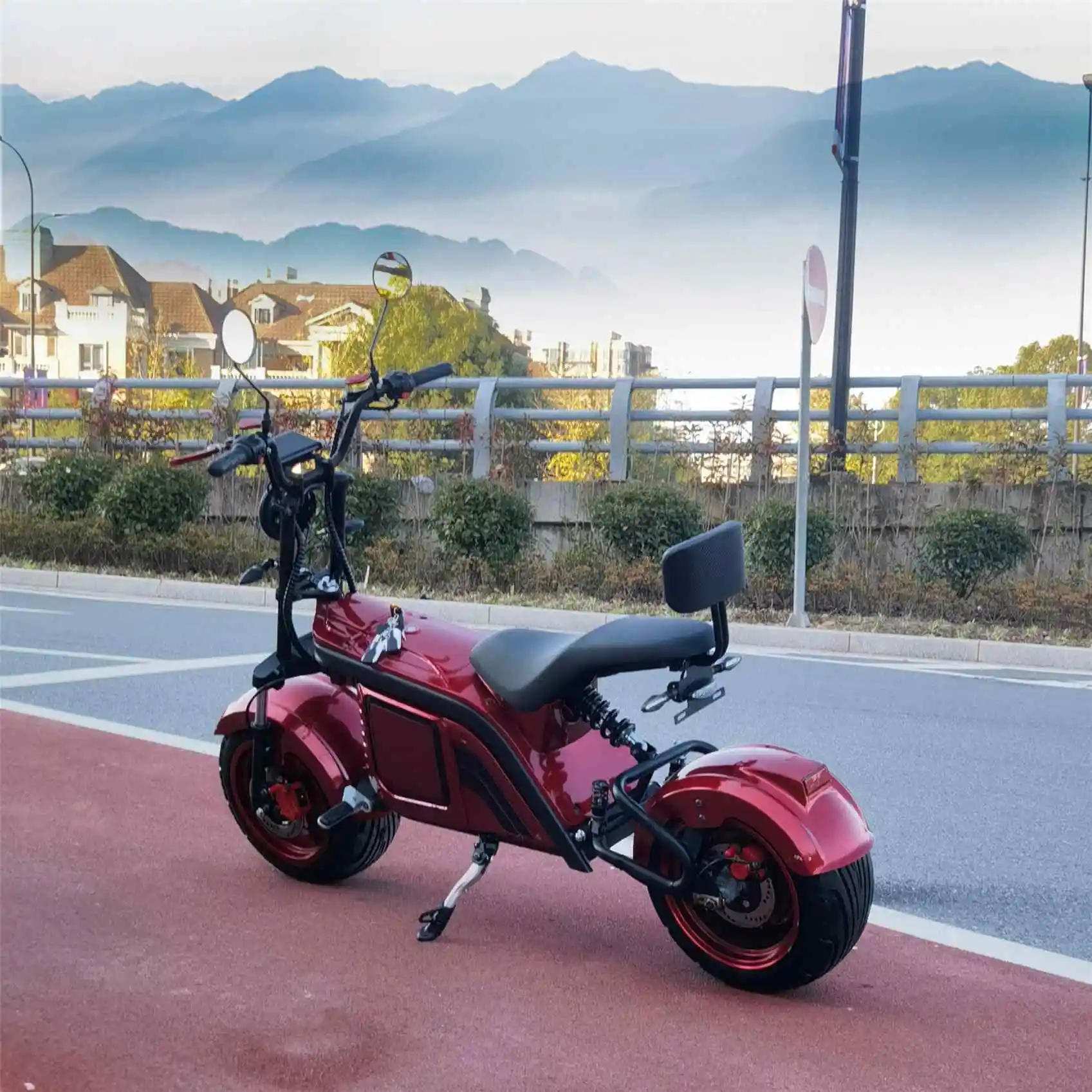 

New Model Electric Scooter With Removable Battery