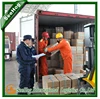 custom clearance of export cargo