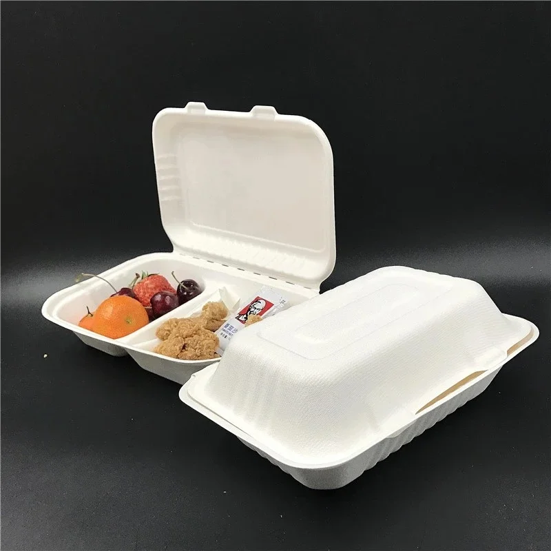 

Takeaway Food Disposable India Plastic Lunch Box Manufacture, Unbleached and bleached