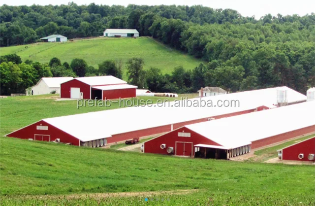 prefabricated steel structure warehouse/poultry farm/gym hall