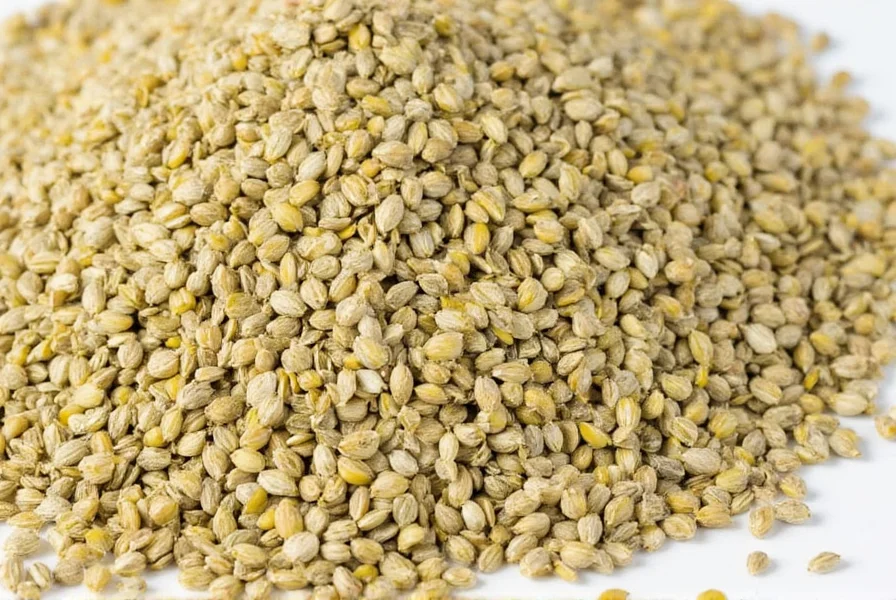 alternative to fennel seeds