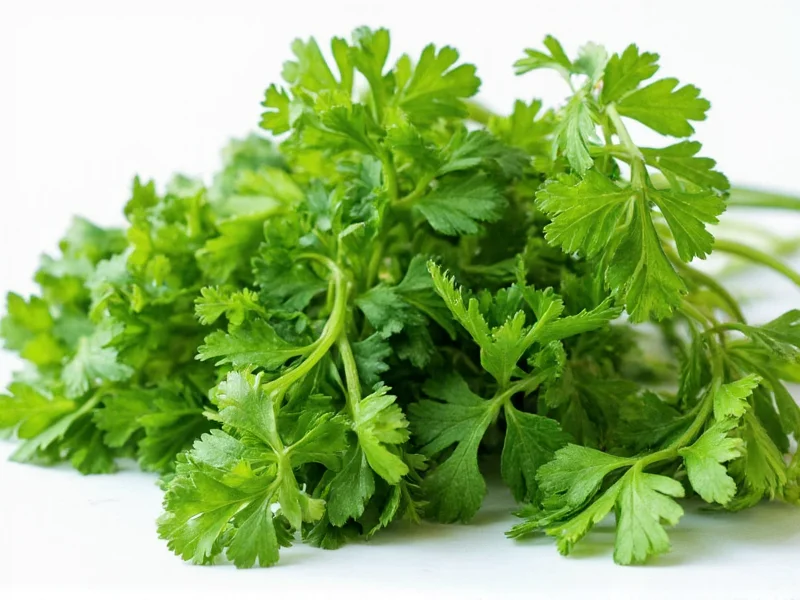Italian Parsley vs Coriander: Key Differences Explained