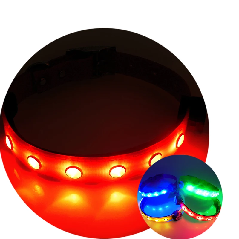

Guanghe nice TPU light up led dog collar led pet supply