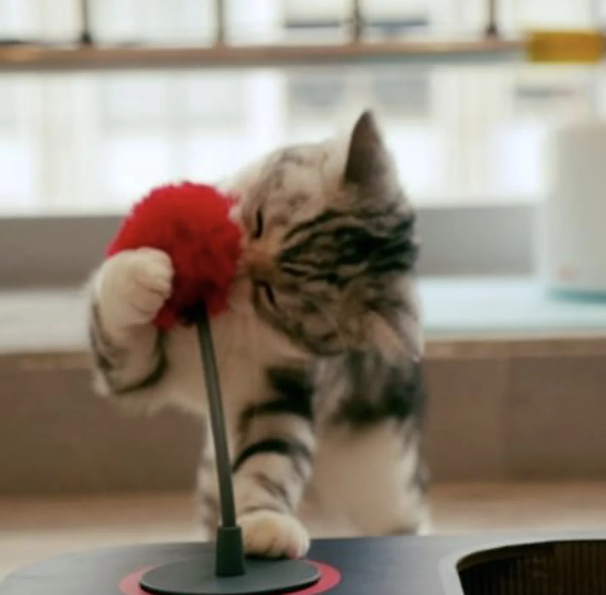 

Cheerble new item wicked ball dogs cats toy electrical interactive cat ball