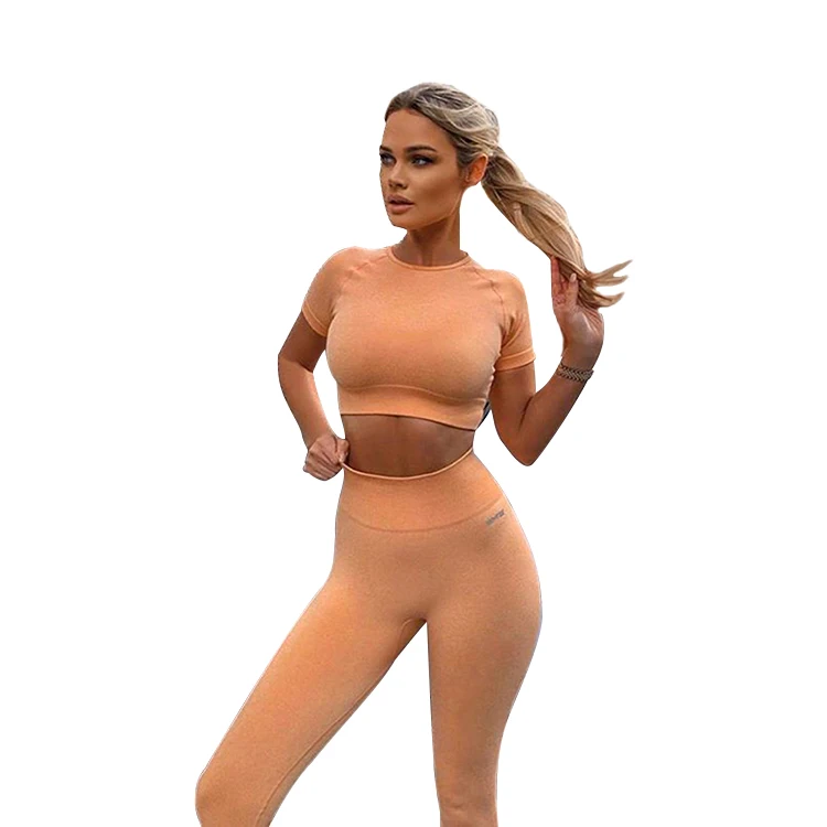 

TikTok Orange Seamless Gymwear Sportswear Women Yoga Pants 2 piece Sets Nylon Yoga Leggings, Orange/gray/purple/green