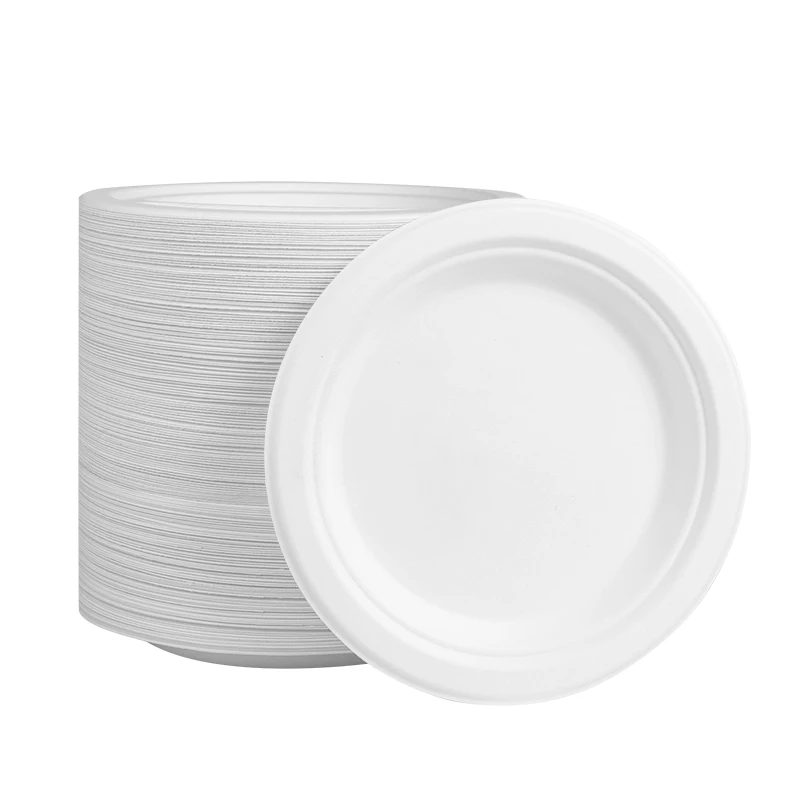 

Best Selling Biodegradable Bamboo Pulp Mould 100% Sugarcane Bagasse Disposable Paper Dishes Plates