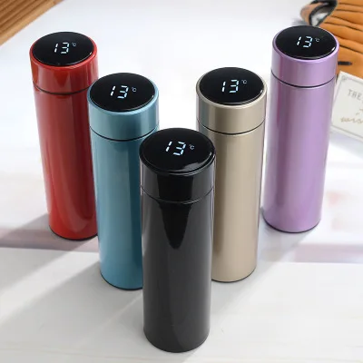 

Feiyou 500ml infuser LED stainless steel thermal insulated tea smart travel water bottle with custom logo, Customized color