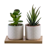 

2 Piece Is 1 Sets Potted Artificial Plants Succulent Plant