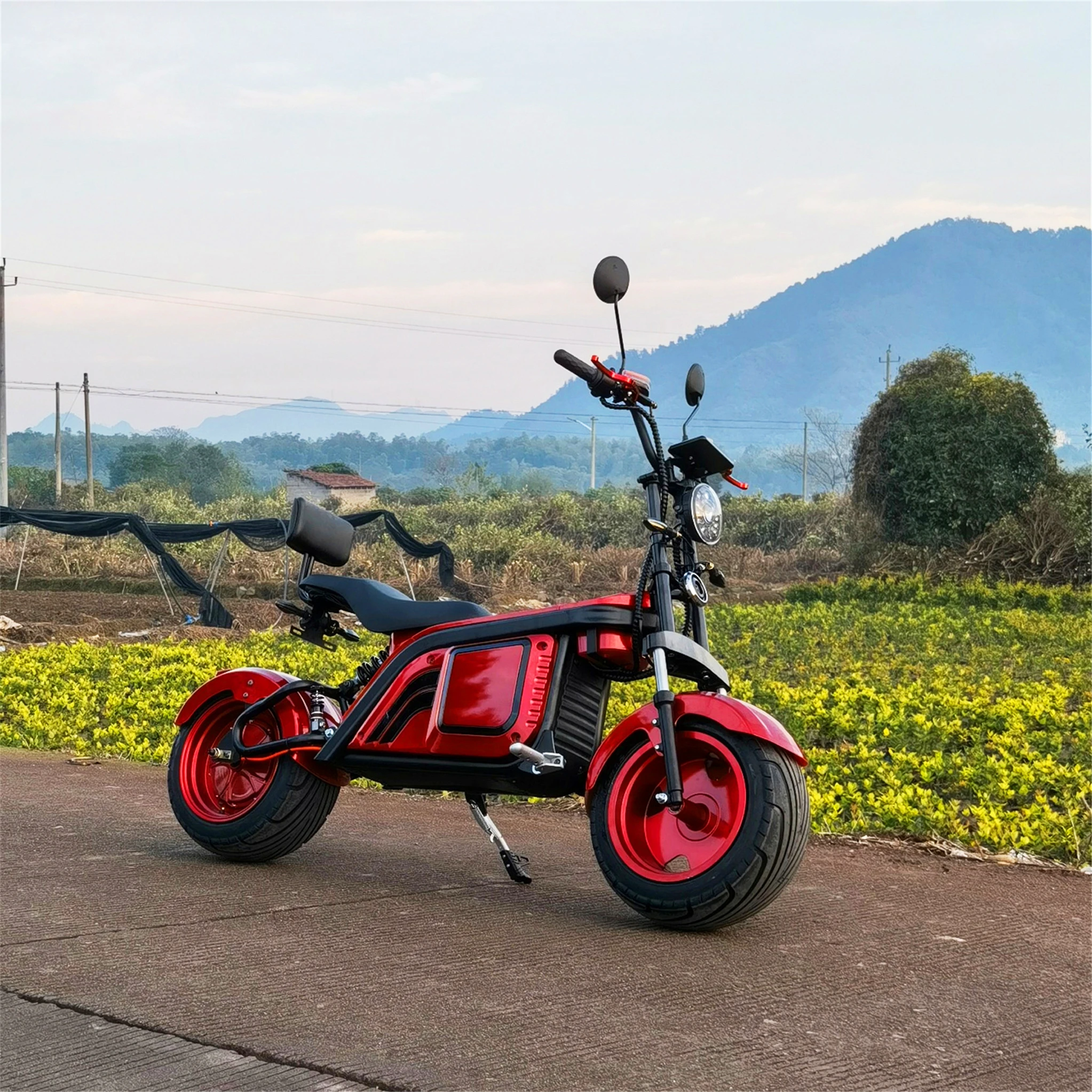 

New Good 2000W Chopper Model CP-6 Double Battery Long Range Electric Scooters Citycoco