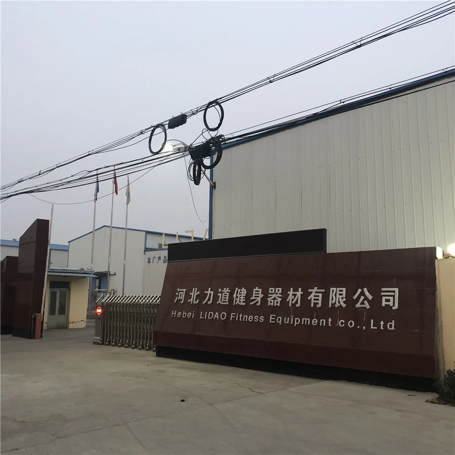 
luxury gym equipment strength fitness lat pull down machine LD2029 