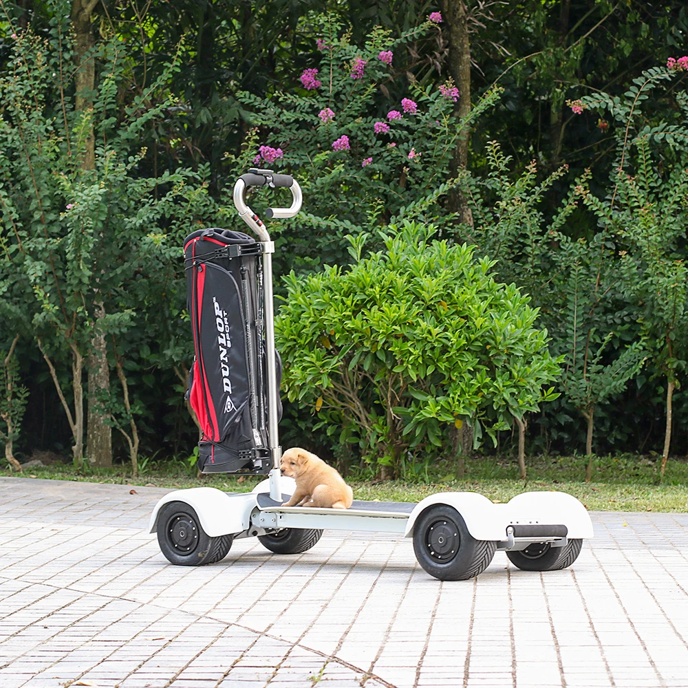 

Four wheel golf skateboard scooter golf electric scooter with golf cart
