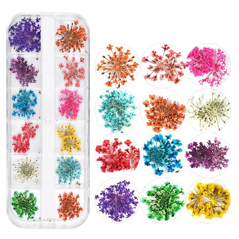 

24pcs/set New Japanese Dried 12 Color Star Sun Flower Small Daisy Dried Flower Boxed Dried Nail Art Flowers, As shown