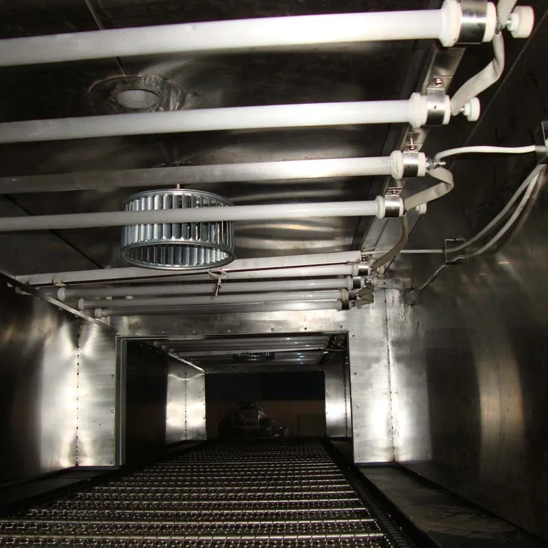 IR lamps IN.jpg