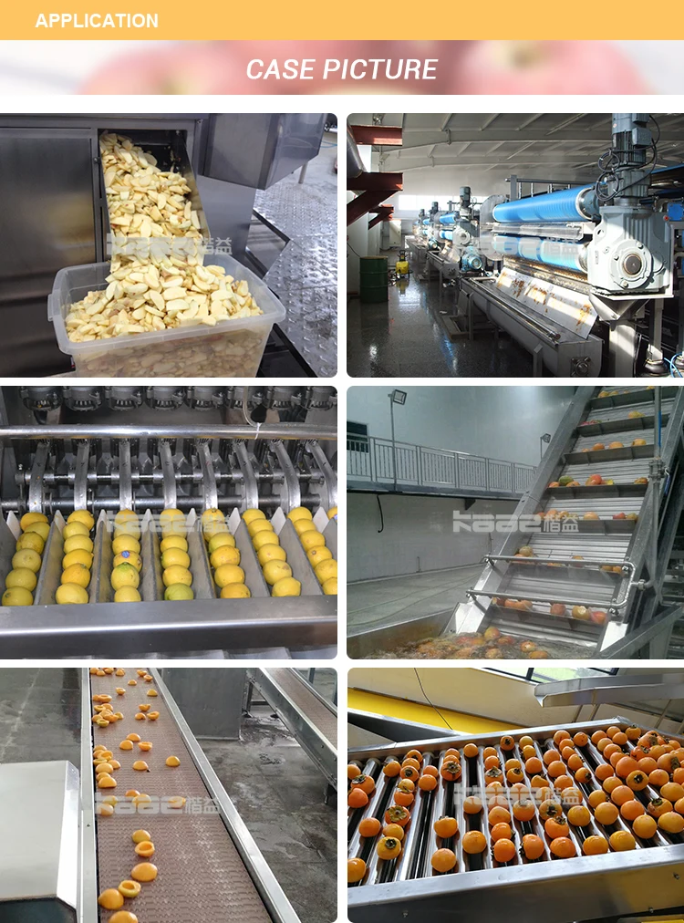 Factory Custom Juice Extractor Machine Juce Making Machine Fruit Juice