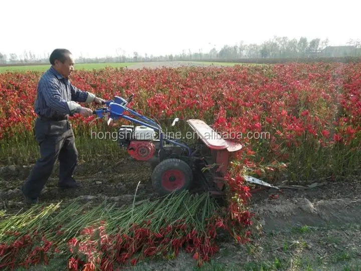 Gear Drive Sesame / Grass / Soybean Rice Wheat Reaper Binder Machine