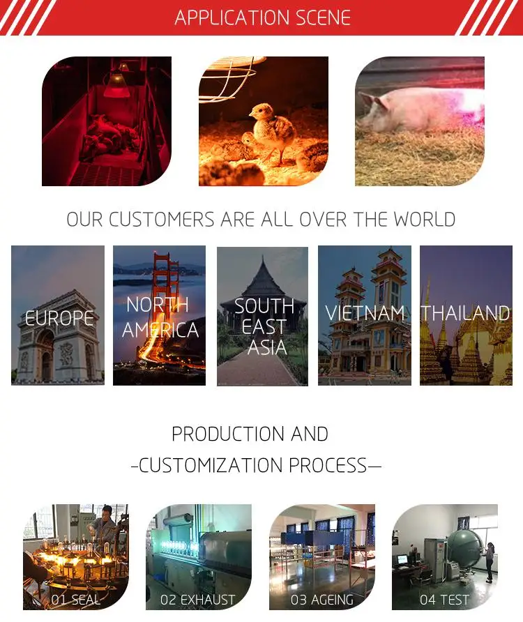 Application Scene.jpg