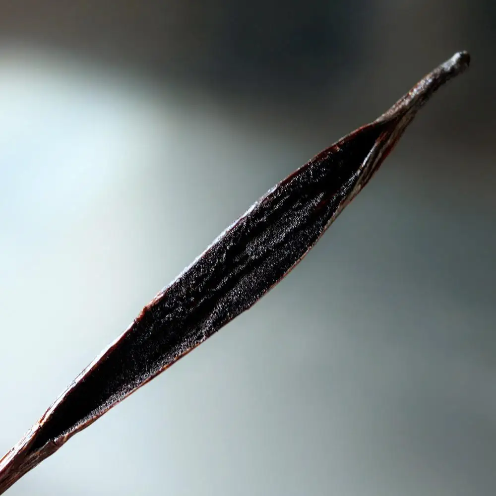 
Top Quality Madagascar Dried Vanilla Beans Vanilla Pods 