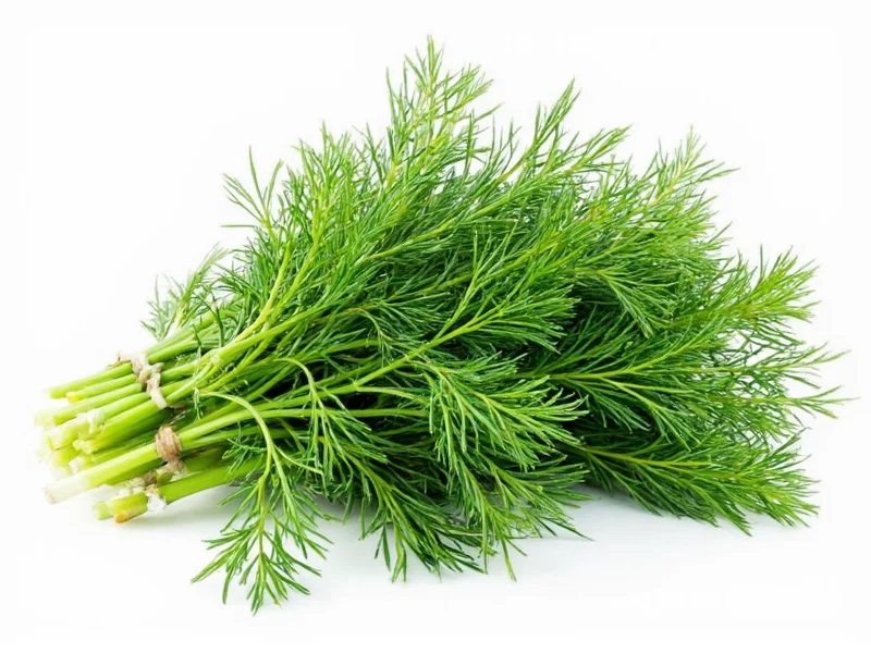 Dill Herb Benefits: Science-Backed Health Advantages