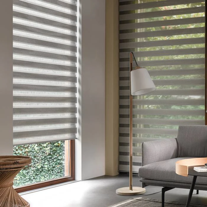 Zebra Blinds Smart Window Automatic Blackout Day and Night Cordless Zebra Roller Curtain Shades Blinds