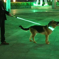 

rechargeable illuminated glow safety led light up leash night walk