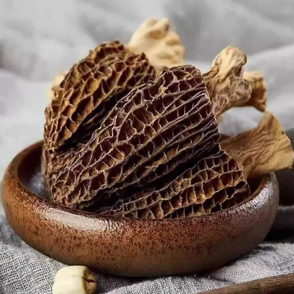 Morels