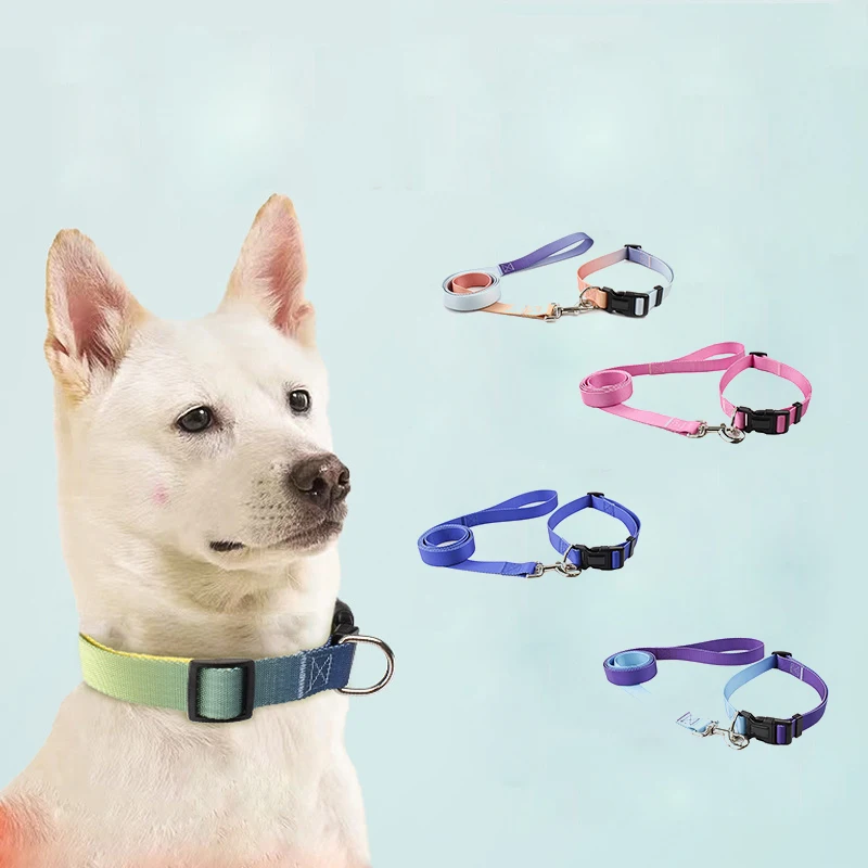 

2021 New Eco Friendly designer dog collar pet training collar