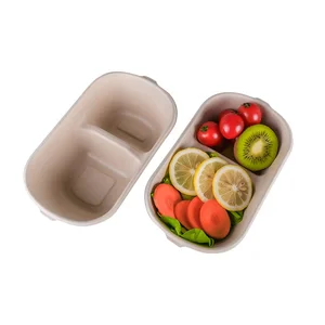 100% Sugarcane Bagasse Biodegradable Disposable Food Box Compostable Take Away Lunch Box Manufacturer