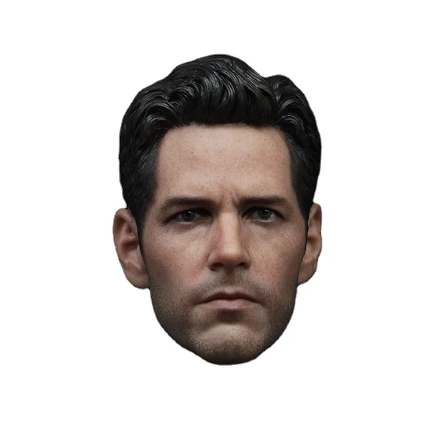 

Custom 1/6 Scale Paul Rudd Antman Head Sculpt Compatible w/ Hot Toys 1.0 Antman