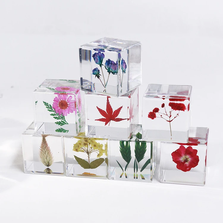 

Wholesale Handmade Resin Crafts Diy Flower Specimen Teaching Resources Christmas Gifts Plant Resin Crafts