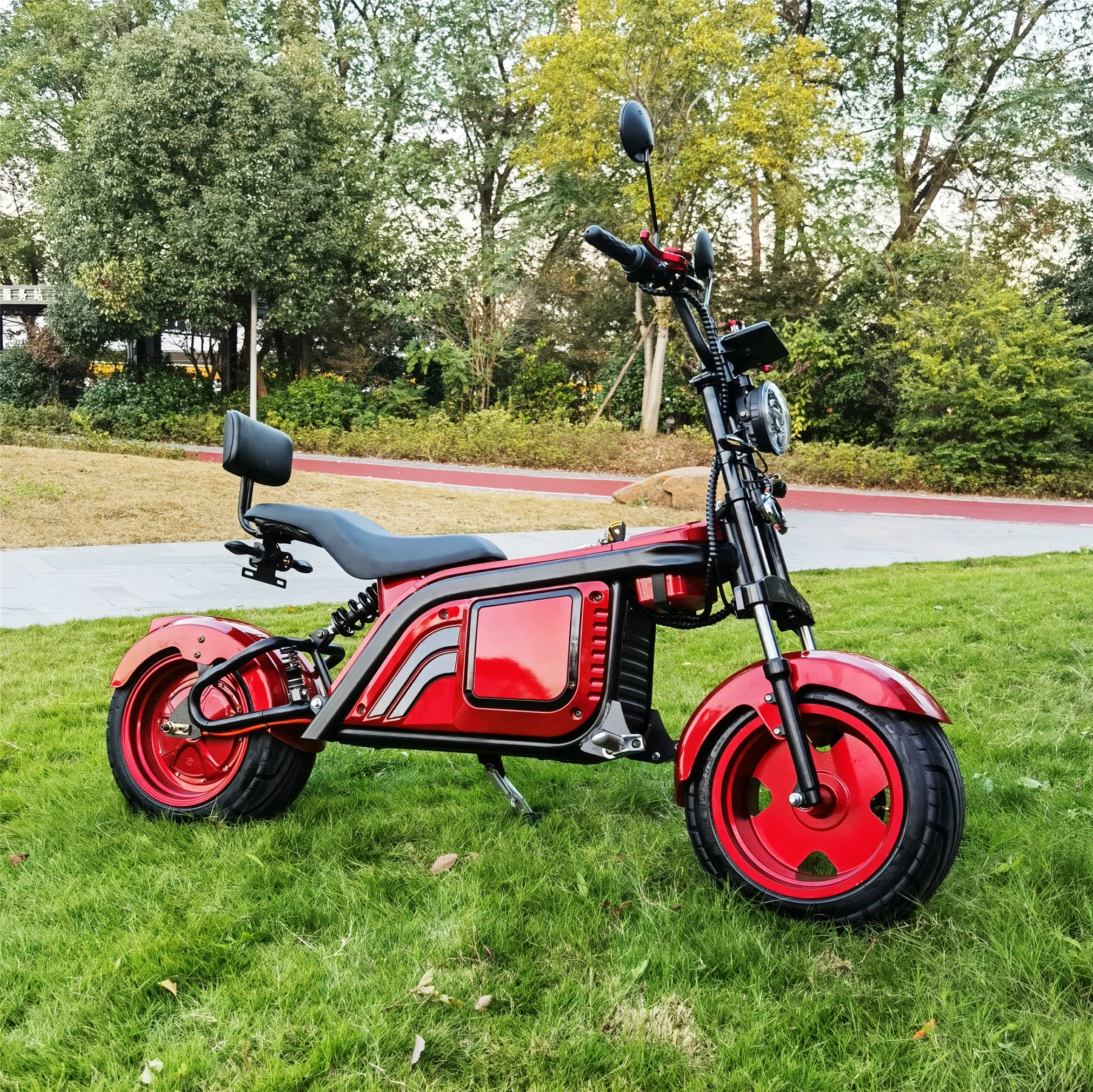 

Good Selling And Best Quality Popular Design Citycoco Electric Scooter
