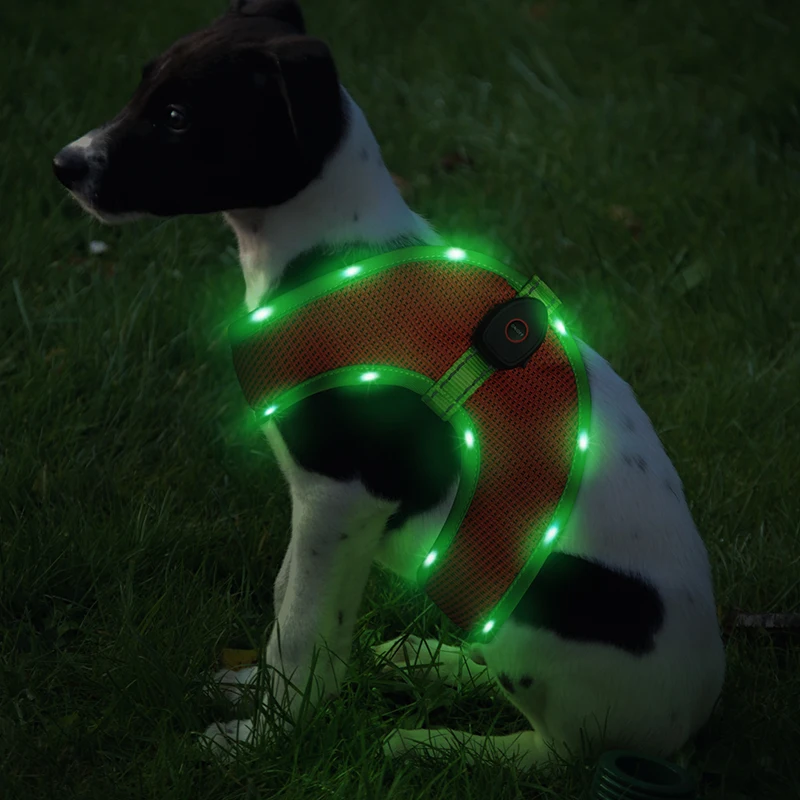 

Wholesale Manufacturer Pet Harness Custom Outdoor Nylon Adjustable Battery Rechargeable Led Dog Harness