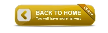 wholesale custom Cowboy shirt for men 100% cotton casual shirt