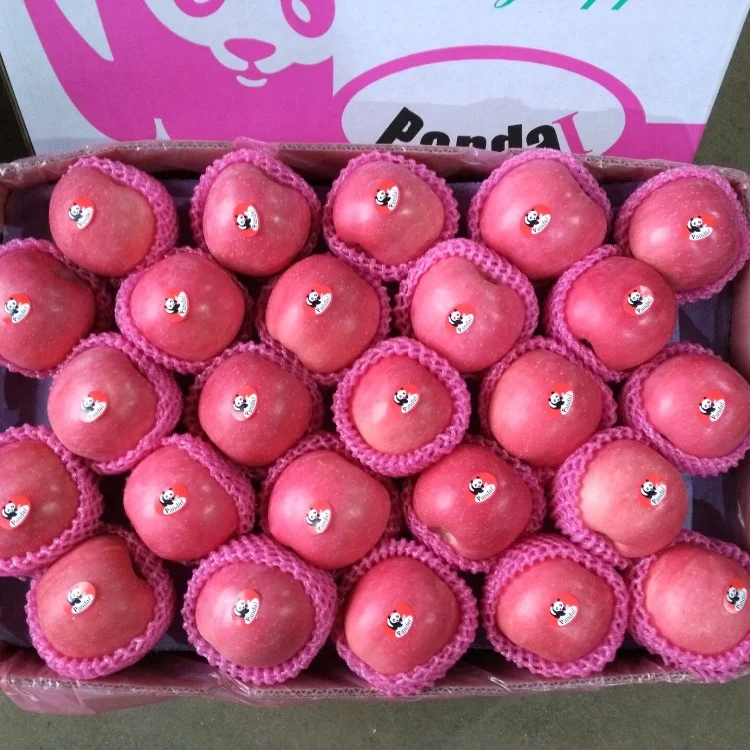 
Sell Shandong Produced Fresh Fuji Apples 