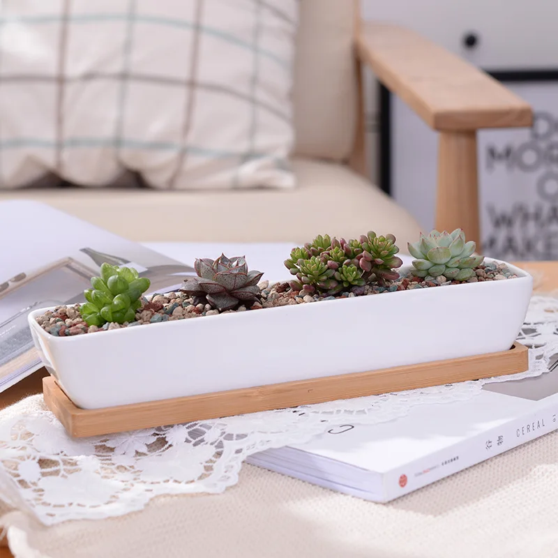 

Long Rectangle White Ceramic Succulent Planter Pots/Mini Flower Plant Containers with Bamboo Saucers.