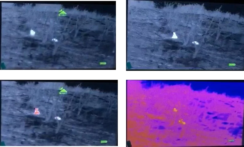 night vision hunting.png