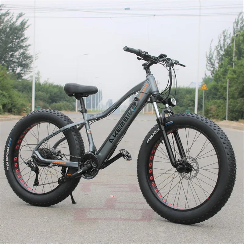 

Fashion No Other Electric Bike 30km H Brushless Lithium Battery