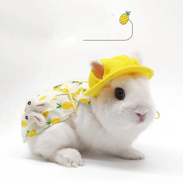 

Amazon Pet Accessories Small Animals Vest Harness Rabbit Mesh Chest Strap Rabbit Harnesses Leash, As pictures