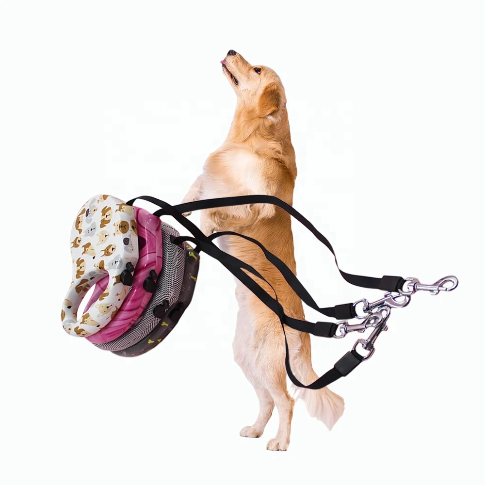 

AutoBrake Retractable Dog Leash Anti-slip Handle Pet Walking Leash For Medium Breeds 5m Factory Wholesale