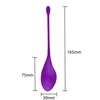 Kegel Weights for Vaginal Tightening Incontinence/Bladder Control 5 Progressive Manual Weights