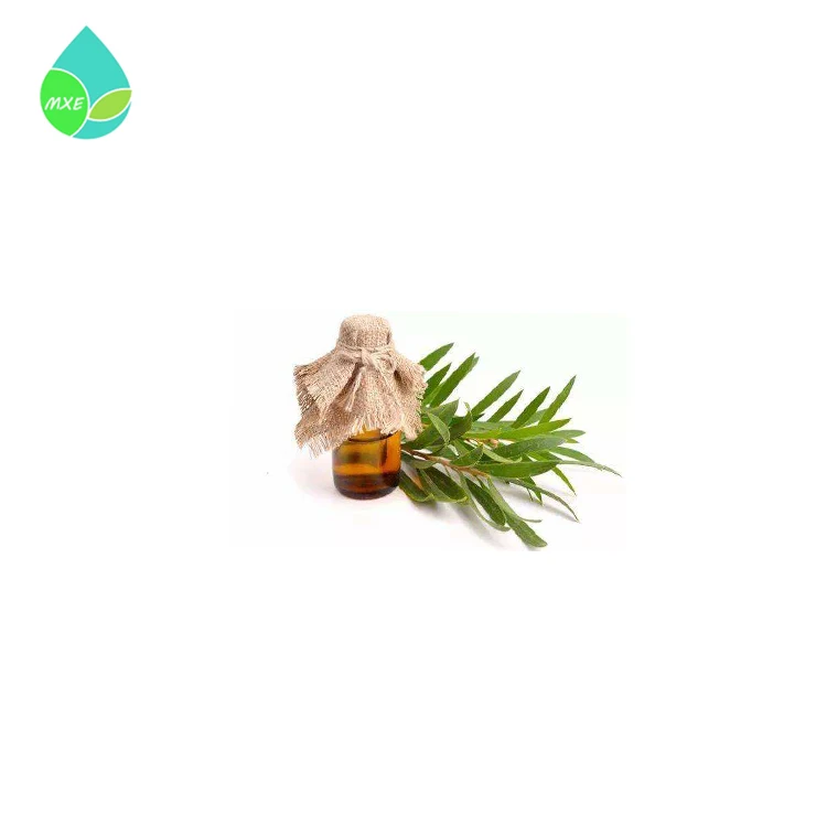 Factory Supply 100% Pure Tea Tree Essential Oil