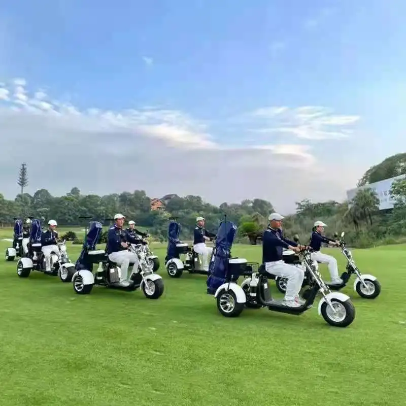 

cutycici1500WElectric scooter three wheeled golf cart lithium battery leisure scooterelectric 3 wheel motorcycle